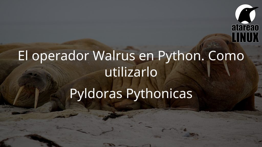 El operador walrus en Python. Como utilizarlo.