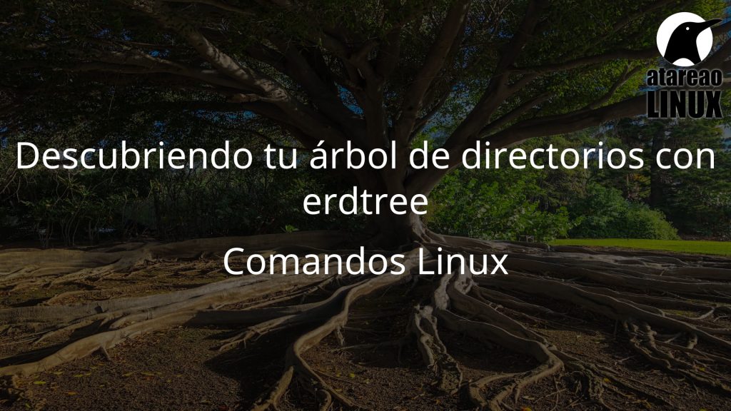 Descubriendo tu árbol de directorios con erdtree